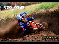 Experts-010