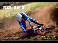 Experts-012