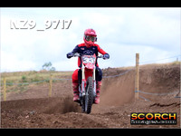 IntersGreenOrange-008