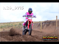 IntersGreenOrange-006
