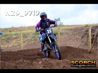 IntersGreenOrange-010