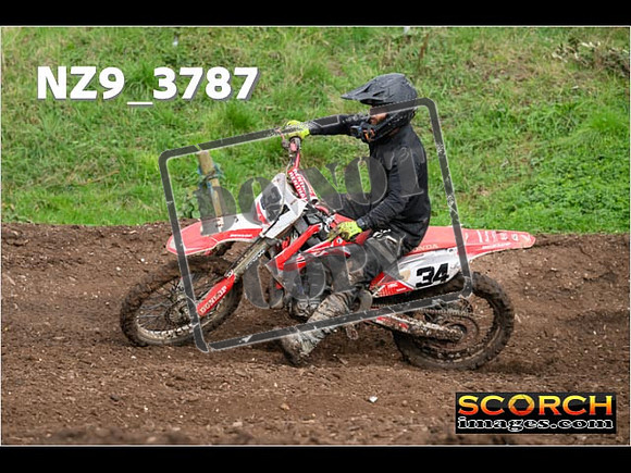 Inters-559
