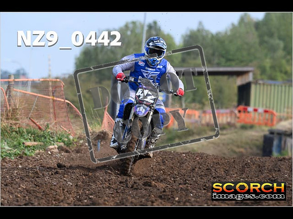 Experts-039