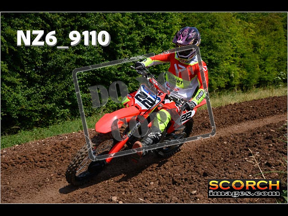 Experts-174