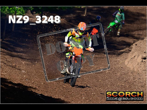 InterGreen-004