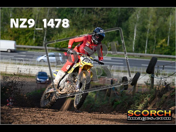 Experts-173