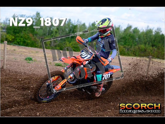 Experts-012