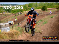 InterGreenOrange-016