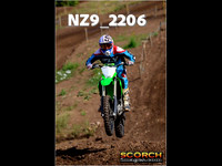InterGreenOrange-012