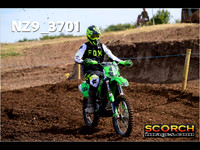 IntersGreenOrange-017
