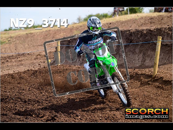 IntersGreenOrange-028