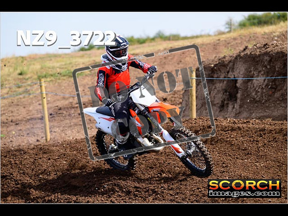 IntersGreenOrange-035
