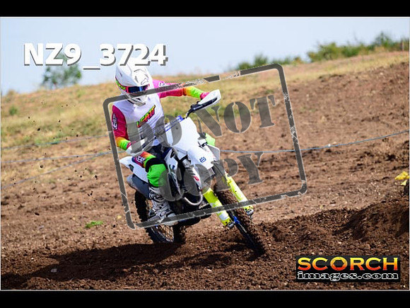 IntersGreenOrange-037