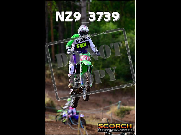 IntersGreenOrange-052