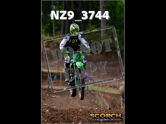 IntersGreenOrange-057