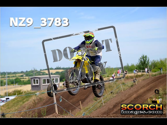 IntersGreenOrange-095
