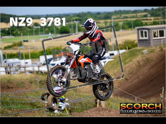 IntersGreenOrange-093