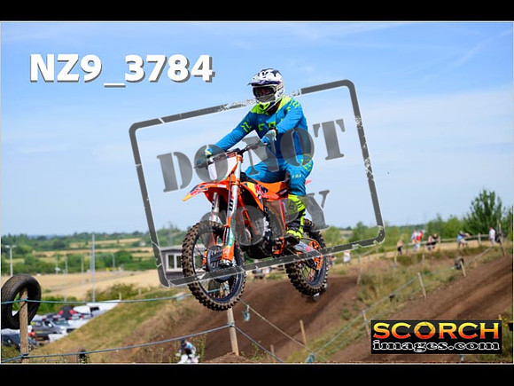 IntersGreenOrange-096