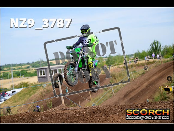 IntersGreenOrange-099