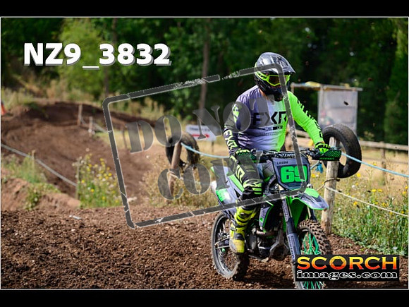 IntersGreenOrange-142