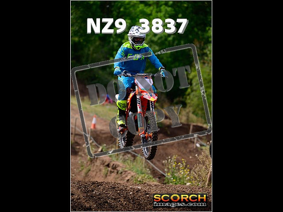 IntersGreenOrange-147