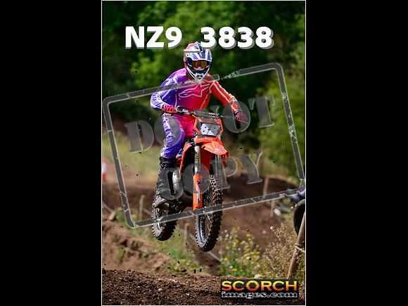 IntersGreenOrange-148