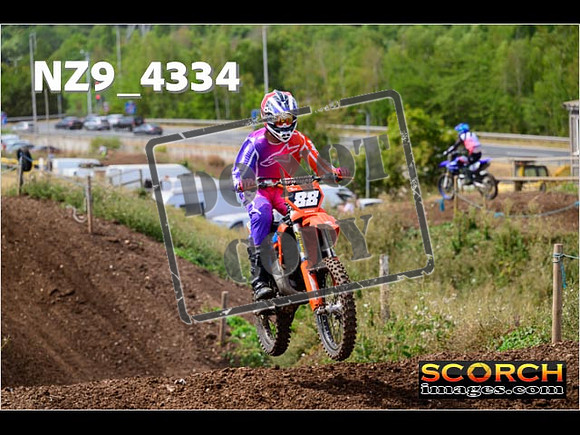 IntersGreenOrange-175