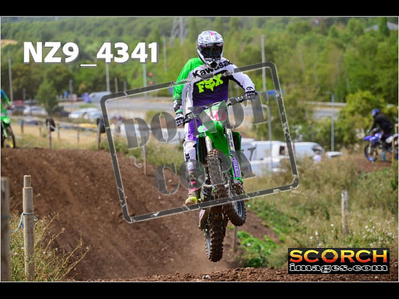 IntersGreenOrange-181