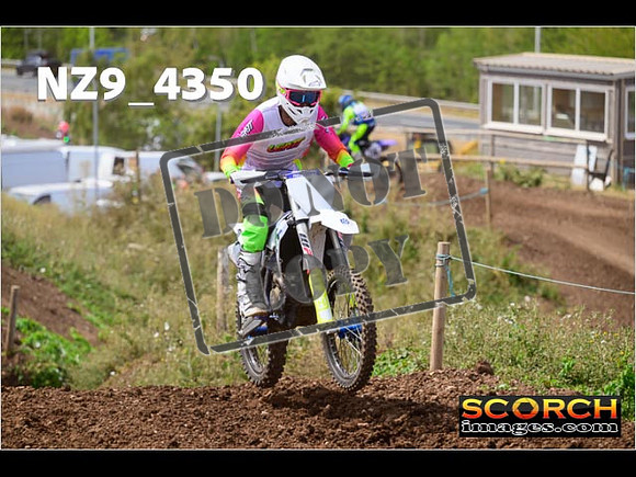 IntersGreenOrange-190