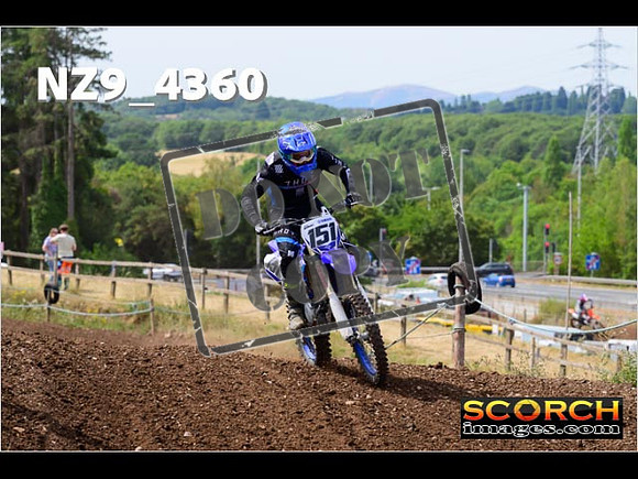IntersGreenOrange-200