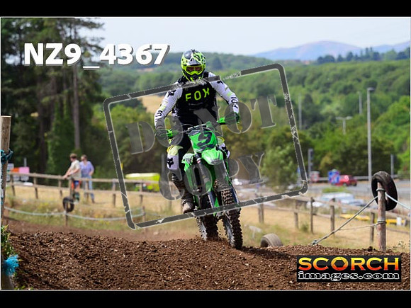 IntersGreenOrange-207