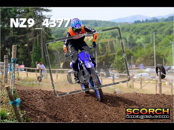 IntersGreenOrange-216