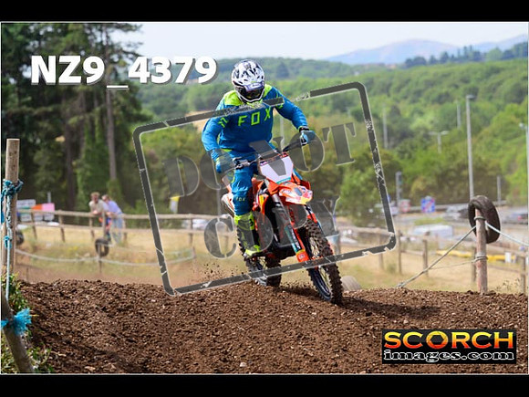 IntersGreenOrange-218