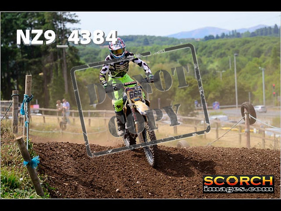 IntersGreenOrange-223