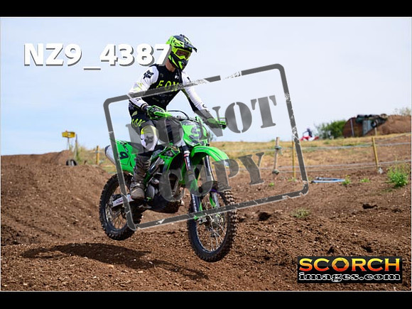 IntersGreenOrange-226