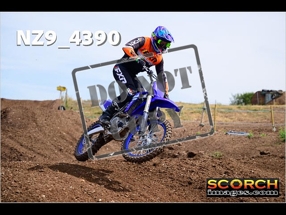 IntersGreenOrange-229