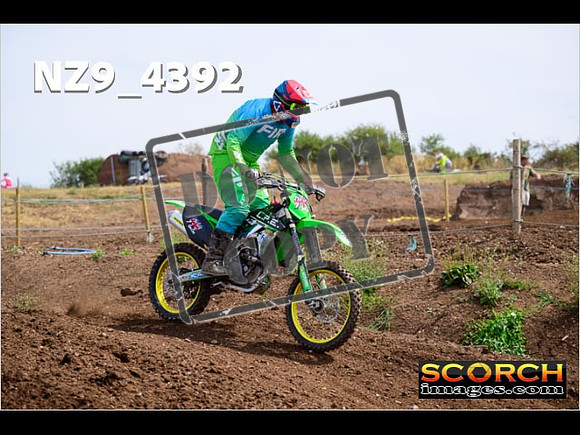 IntersGreenOrange-231