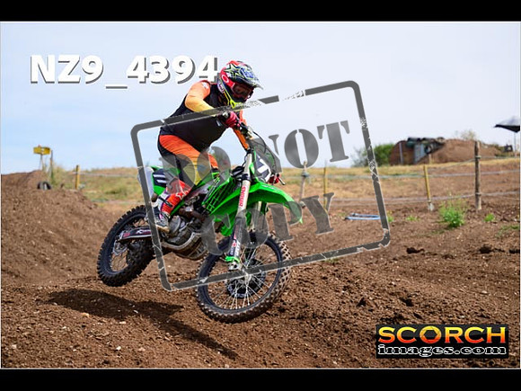 IntersGreenOrange-233