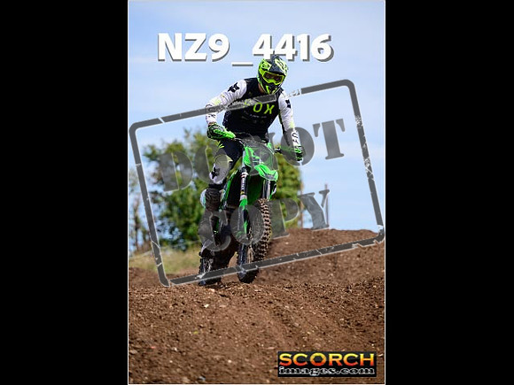 IntersGreenOrange-255