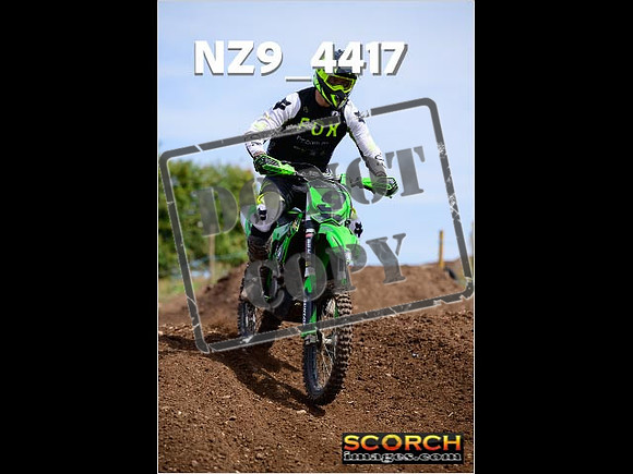 IntersGreenOrange-256