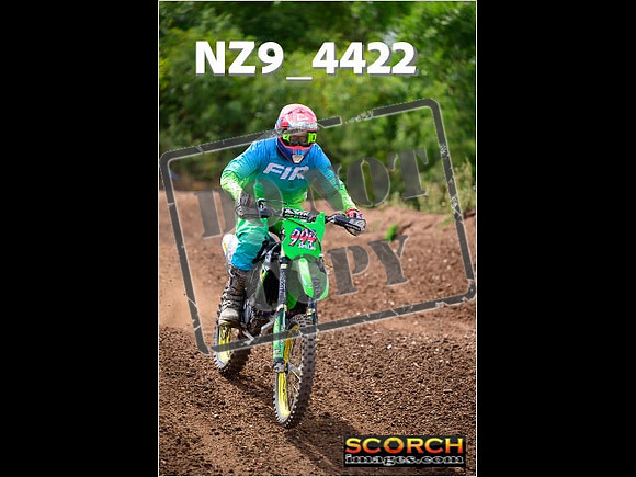 IntersGreenOrange-261