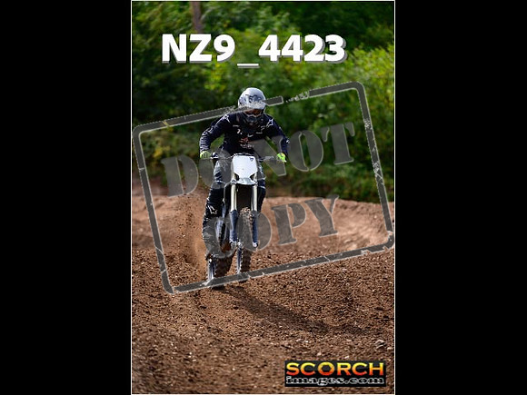 IntersGreenOrange-262