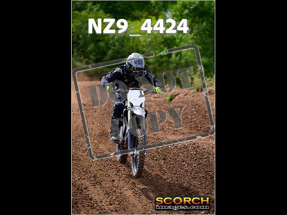 IntersGreenOrange-263