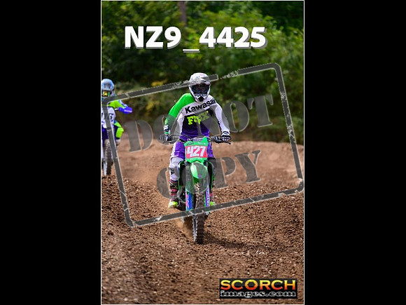 IntersGreenOrange-264