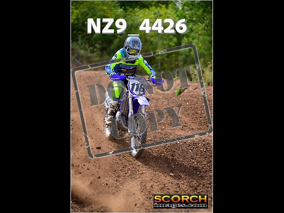 IntersGreenOrange-265