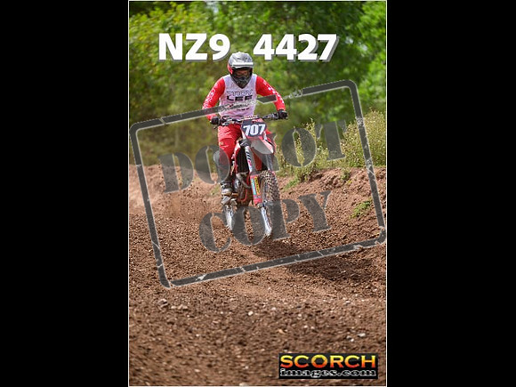 IntersGreenOrange-266