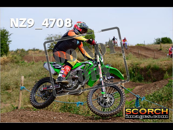 IntersGreenOrange-284