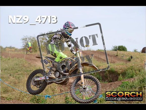 IntersGreenOrange-289