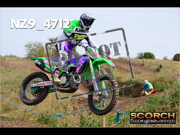 IntersGreenOrange-288