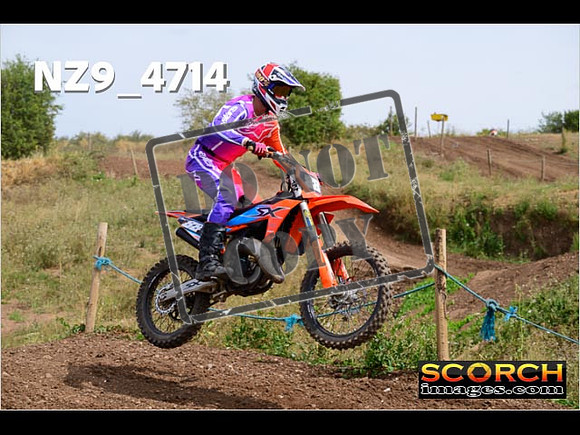 IntersGreenOrange-290
